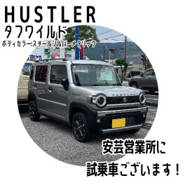 タフワイルドの試乗車あります！